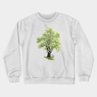 April birthday elm tree Crewneck Sweatshirt